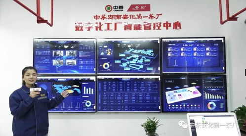 中茶安化數(shù)字化工廠閃耀湖南產(chǎn)業(yè)集群工業(yè)互聯(lián)網(wǎng)峰會(huì)，發(fā)布數(shù)字廣告引領(lǐng)未來(lái)